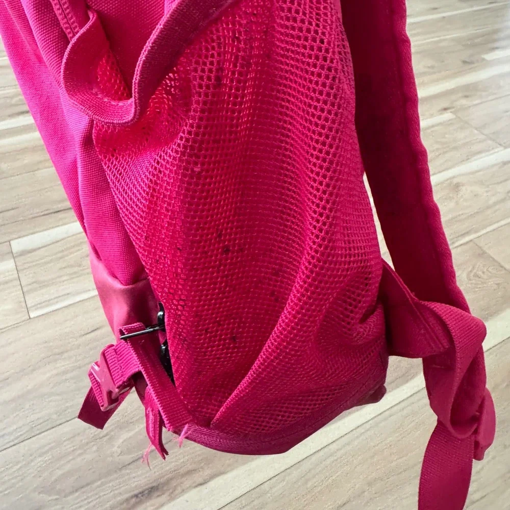 Nike Baseball Backpack w/Shoe Compartment Pink